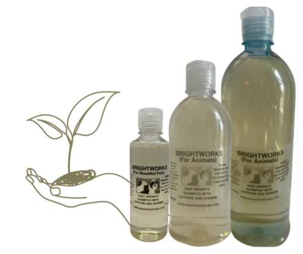 Fellwachstums-Shampoo